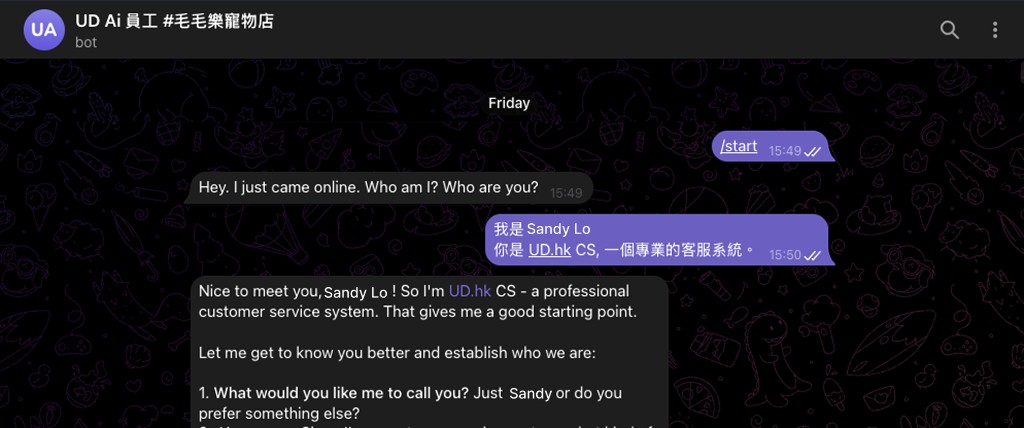 Telegram chat: /start, user introduction, and bot personality setup (example with UD.hk CS)